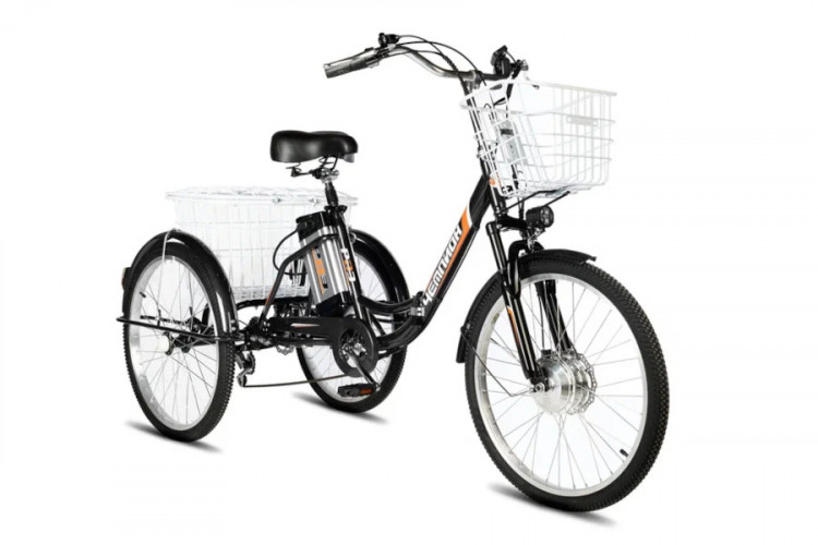 Электровелосипед РВЗ Чемпион 24 складной в Омске