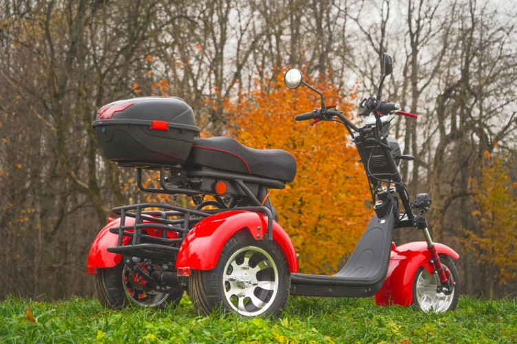 Электроскутер White Siberia PRO TRIKE 3000W в Омске