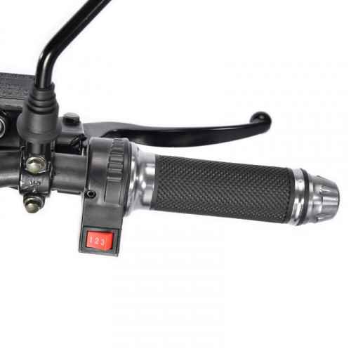 Электроскутер White Siberia TRIKE MINI 1500W в Омске