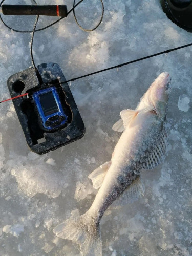 Эхолот Практик 8 в Омске