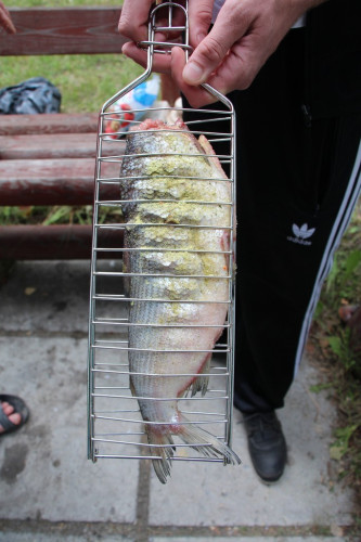 Решетка для рыбы в Омске