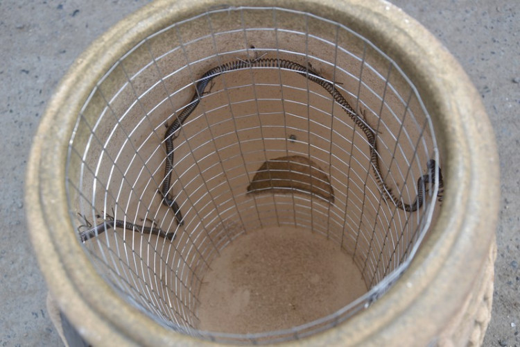 Тандыр Электрический Малый в Омске