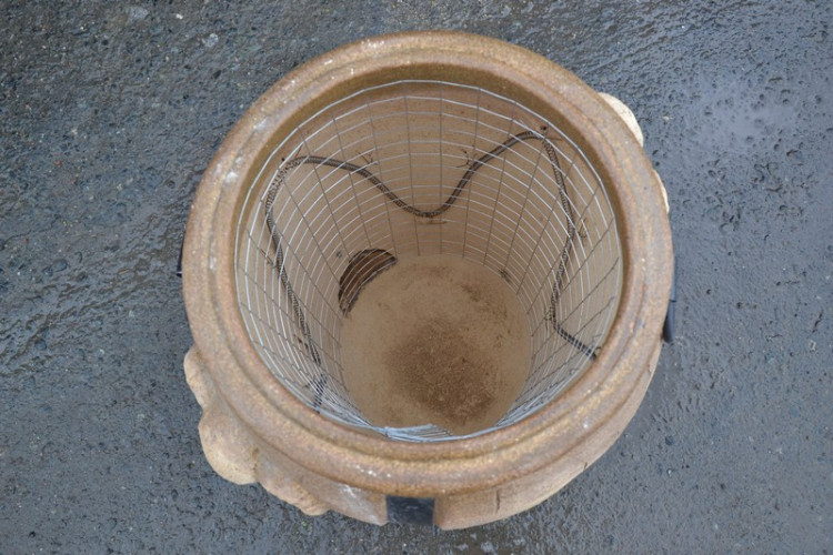 Тандыр Электрический Баран в Омске