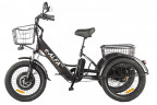 Электрофэтбайк Eltreco Green City e-ALFA Trike в Омске