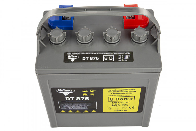 Тяговый аккумулятор RuTrike WET DT876 (T-875) 8V120A/H C3 в Омске
