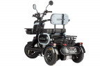 Электротрицикл Wanshida UN MOTO в Омске