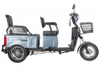 Пассажирский электротрицикл Rutrike Gelbert Tuban в Омске