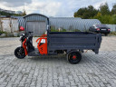 Грузовой электрический трицикл Pаntеrа Гидрaвлика 75V1500W в Омске