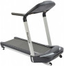 Беговая дорожка Reebok Performance T4.2 (IWM) в Омске